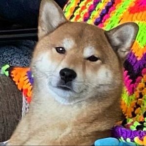 Meet your Posher, Astrid